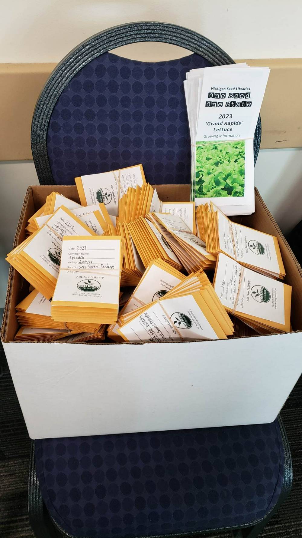 Box of seed packets